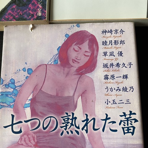 Japanese Novel Books Lot 3 Random Erotic Kyosuke Kanzaki 官能小説 神崎京介 伏見兵太郎 睦月影郎 草凪 - Picture 6 of 12