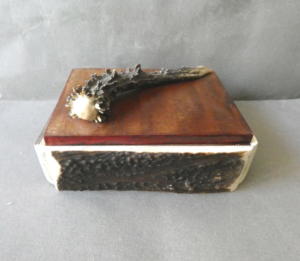 objet d'art populaire, art cynégétique, boite avec bois de chevreuil, chasse - Photo 4/4