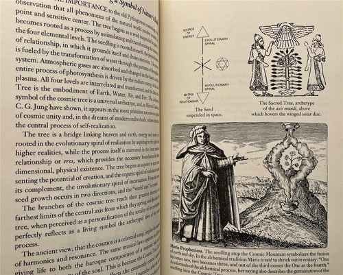 JESUS CHRIST SUN OF GOD DAVID FIDELER ANCIENT OCCULT COSMOLOGY SIGNED - Imagen 2 de 6