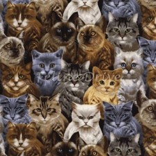 Feline Drive Fabric MICHAEL'S CATS Multi - Fat Quarter 18"x22" FQ