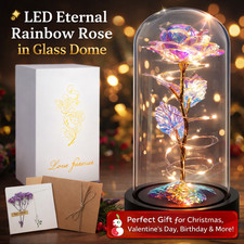 LED Eternal Rainbow Rose in Glass Dome – Decorative Gift