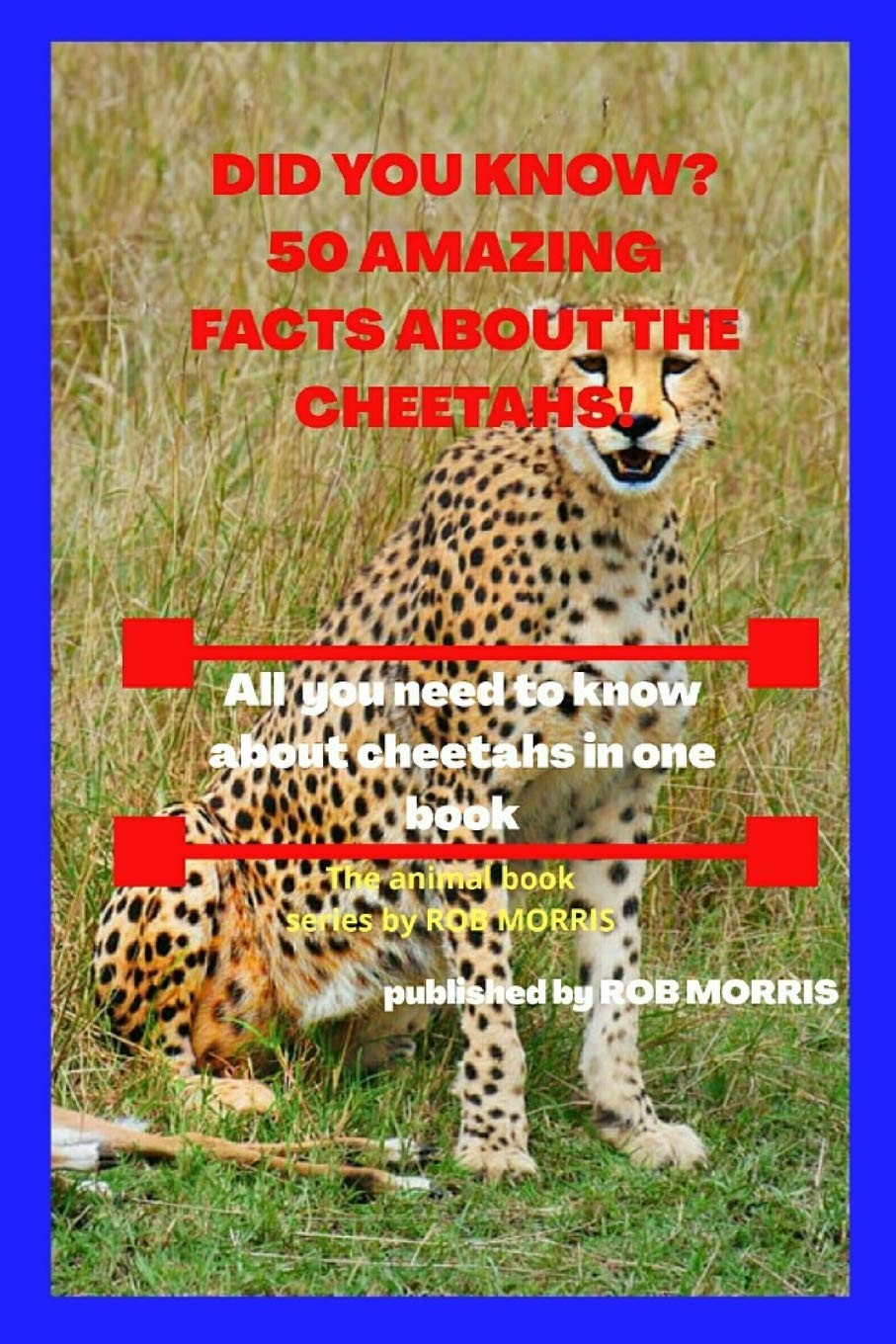 DID YOU KNOW? 50 AMAZING FACTS ABOUT THE CHEETAHS!: Interesting facts about che