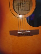 Tanglewood Tw-300