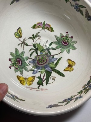 Vintage Portmeirion Botanic Garden 11