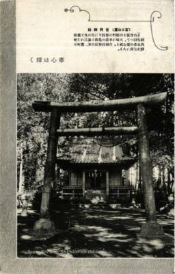 Old postcard AK Soga Shrine Shiraito-no-taki JAPAN (671245)