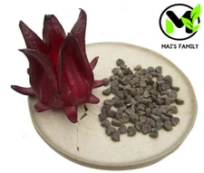 Roselle Seeds, Hoa Bụt Giấm, Asian Sour Leaf Red Sorrell Hibiscus sabdariffa