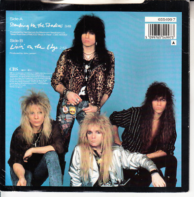 BRITNY FOX Standing In The Shadows PICTURE SLEEVE 45 record NEW + 