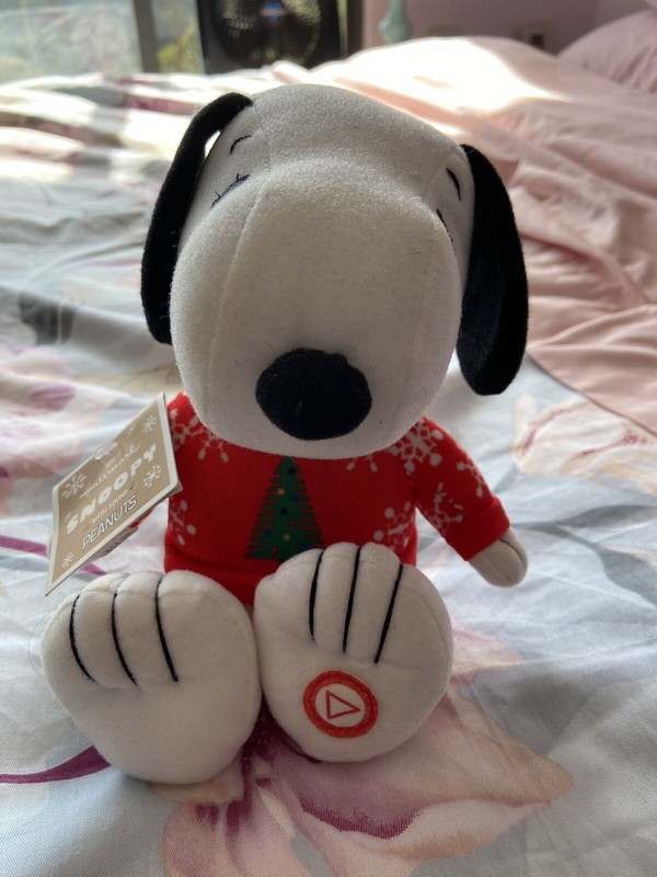 snoopy musical