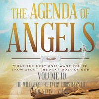 Audio Cd - Kevin L. Zadai - The Agenda Of Angels, Vol. 10: The Will Of God For E