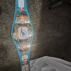 Miami Dolphins WWE Autographed Belt Brian Griese!
