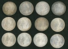 Morgan Dollars Lot of 12 Mid Grade Cleaned