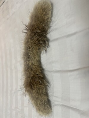 Coyote Fur Canada Goose Is The Fur Real Canada Goose Wyndham