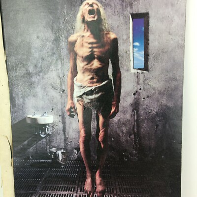 Vintage Megadeth Countdown to Extinction (Empty) CD Longbox | eBay
