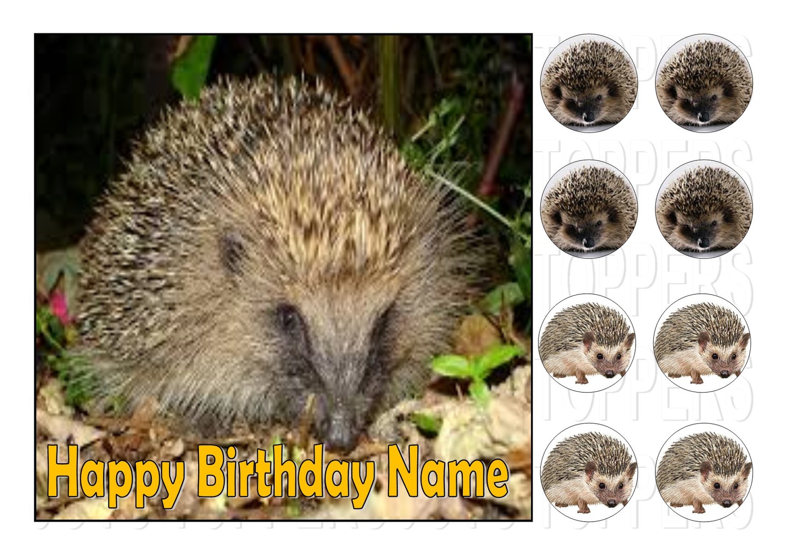 HEDGEHOG CAKE TOPPER SQUARE PERSONALIZE EDIBLED ICING 7.5""+8 CUPCAKE TOPPERS