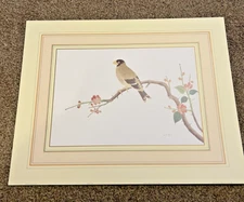 Warbler, Art Print 20" x 16"