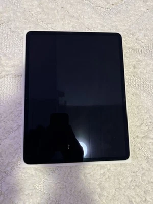 Apple iPad Air (6th generation) · 256GB · Cellular