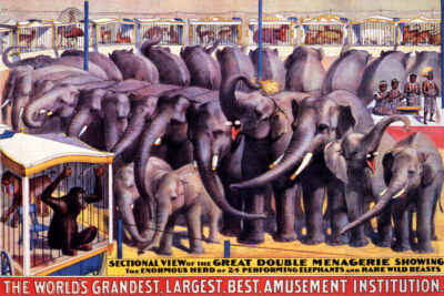 BEST AMUSEMENT ELEPHANT MONKEY CIRCUS SHOW ART THEATER VINTAGE POSTER REPRO
