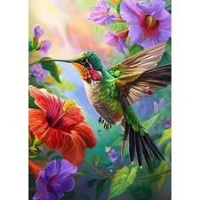 Hummingbird Diamond Painting Kits for Beginners Adults,5D DIY USYZ593