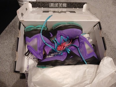 Nike LeBron XIX Shoes Sz 11 Men's Hyper Pink Purple Miami Nights Authentic