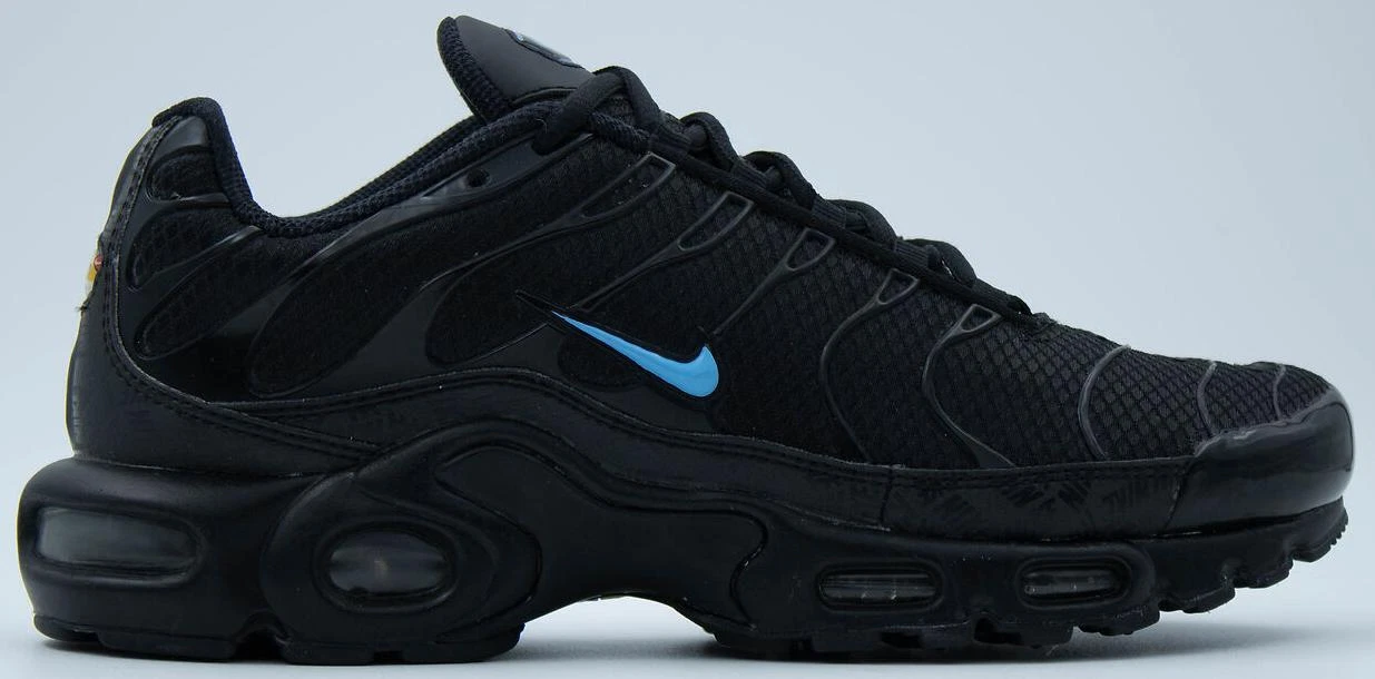 Nike Air Max Plus TN Triple Black for Sale | Authenticity