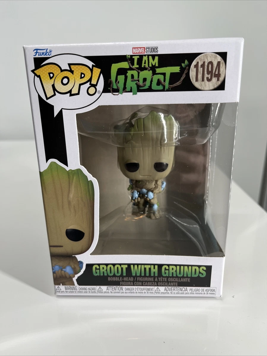 Funko Pop Fancy Groot : I Am Groot unopened Box 