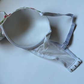 Victoria's Secret Dream Angels Push-Up Bra 36DDD Strawberry Cherry Embroidered