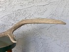Picture 2 of 5