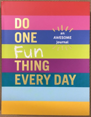 Do One Fun Thing Every Day by Robie Rogge & Dian G Smith (Paperback) NEW  