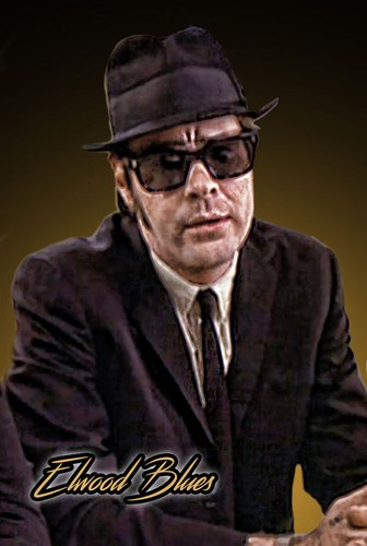 The Blues Brothers Sign Metal Tin Aluminum 8"x12 - Foto 6