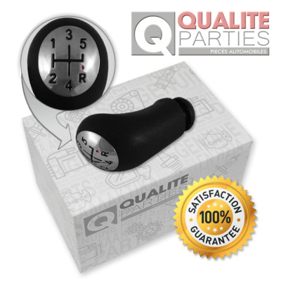 SCHALTKNAUF SCHALTHEBEL RENAULT MEGANE SENIC 2 CLIO 3 KANGOO LAGUNA LOGAN CHROM
