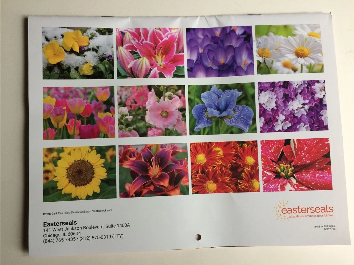 Easterseals Vibrant Flowers 2024 12 Month Hanging Wall Calendar 11 x 8.5 | eBay