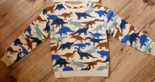H&M Jungen Sweatshirt Gr. 134/140 Neu Dino  Hoodie Pullover