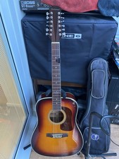 Fleetwood 12 String Acoustic Guitar