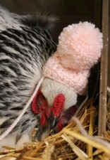Chicken Hen Hand Crocheted Pink Stocking Santa Snow Egg Hat Cover Made in USA