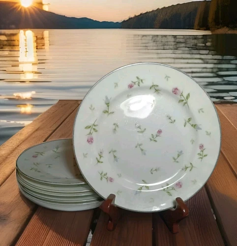 6 SHEFFIELD Fine China Rambling Rose 8" Salad Luncheon Plate Vntg