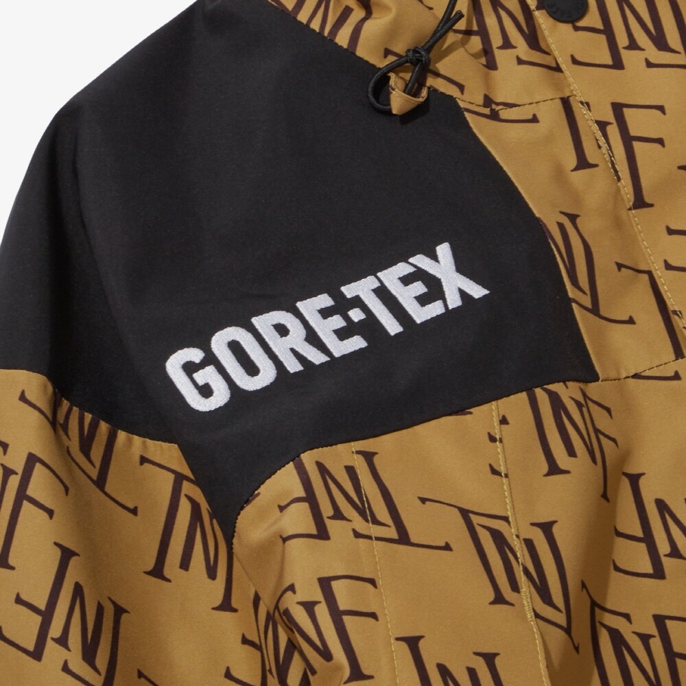 The North Face Korea GTX GORE-TEX MTN JACKET NJ2GP70B BEIGE_BROWN