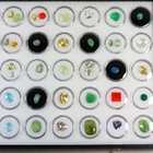 Natural Emerald Plus 35+ Carats Mixed Faceted Gemstone Loose Parcel Lot — photo 3