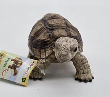 Tortoise Incredible Creatures Figure Safari Ltd Realistic Reptile Toy  258629