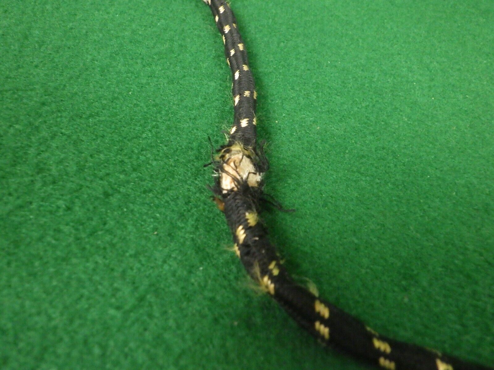 Picture 15 of 15
