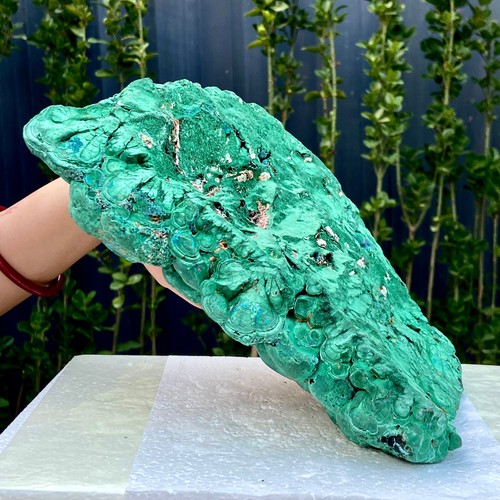 11.5LB Natural glossy malachite cat eye transparent cluster rough mineral Sample - 第 18/18 張圖片