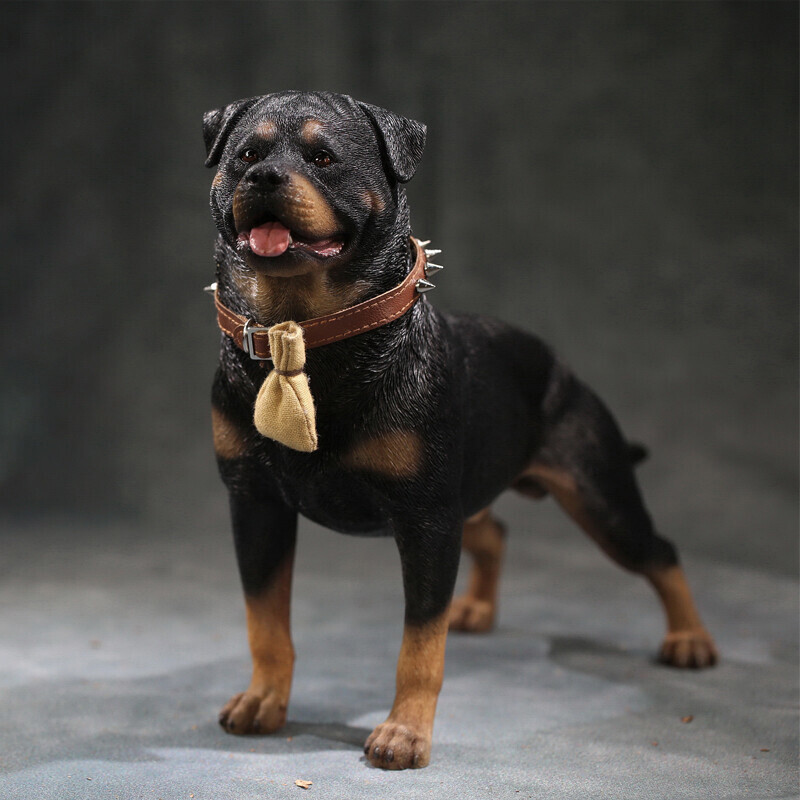 Mr.Z 1:6 Animal Resin Simulation Toy Rottweiler Dog Figure 5 Model
