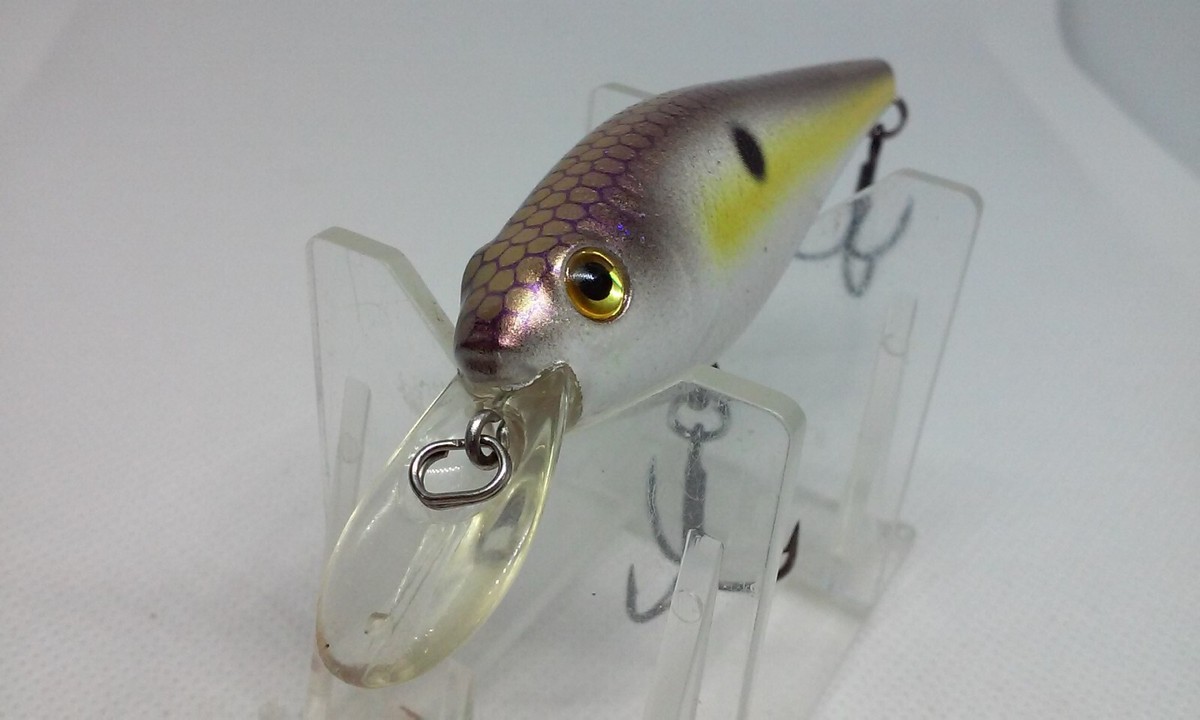 H2O XPRESS CRANKING SHAD Threadfin Shad 2 3/4" Crankbait Academy Fishing Lure | eBay H2O XPRESS CRANKING SHAD Threadfin Shad 2 3/4" Crankbait Academy Fishing Lure | eBay