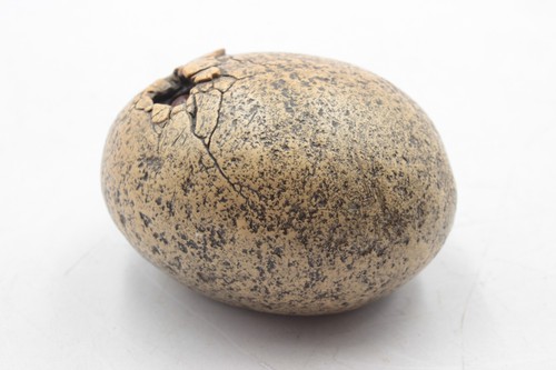 1994 Windstone Editions 94 Pena - Baby Dragon Hatching Egg Statue Figurine - Picture 5 of 5