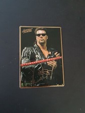 1994 Diesel Kevin Nash Rookie Card - WWE WWF Action Packed Wrestling 