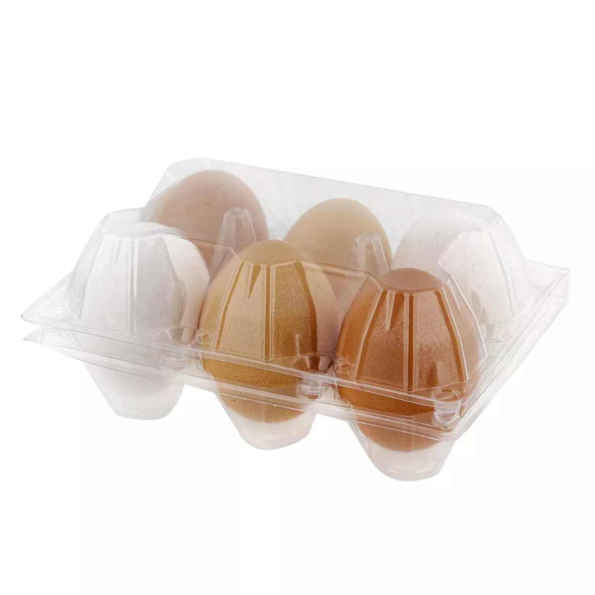 Plastic egg carton deals