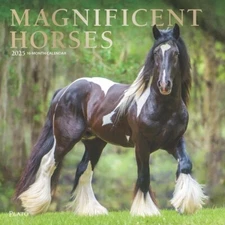 Magnificent Horses 2025 Wall Calendar 12" x 24" open, 16 mo.