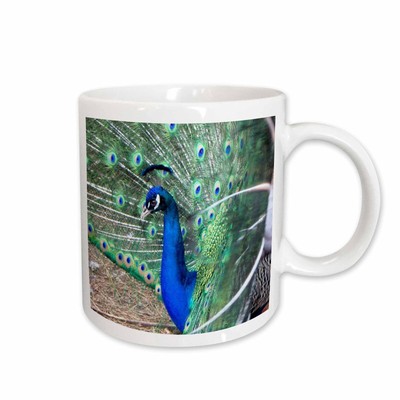 3dRose Peacock in heat strutting its stuff Mug