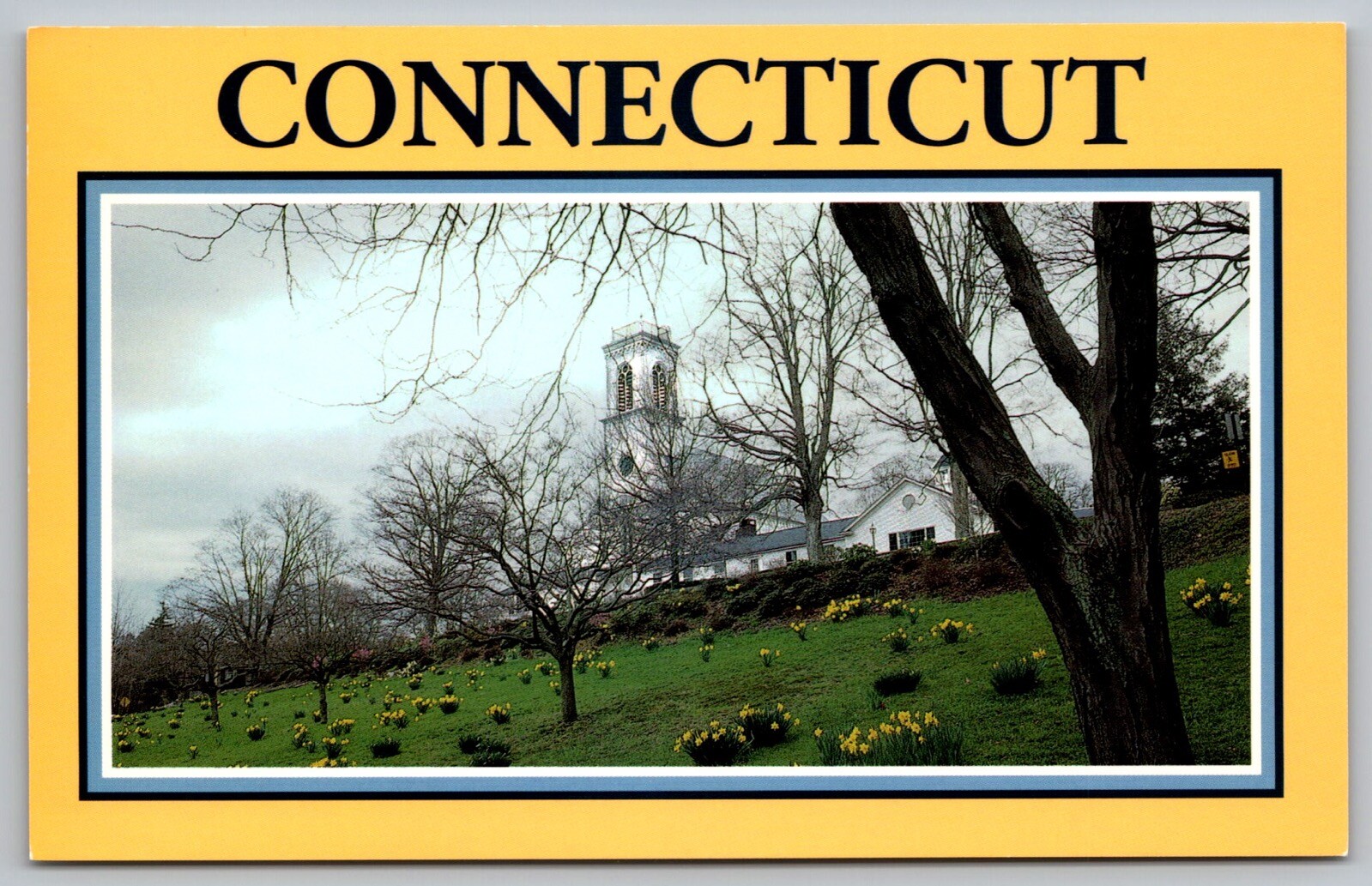 Essex Connecticut Flowers Daffodils Church Hill Book Tackle Shop UNP