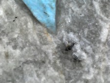 Minerali: Pirite mercurifera prov. ex Miniera di Levigliani (LU) Alpi Apuane