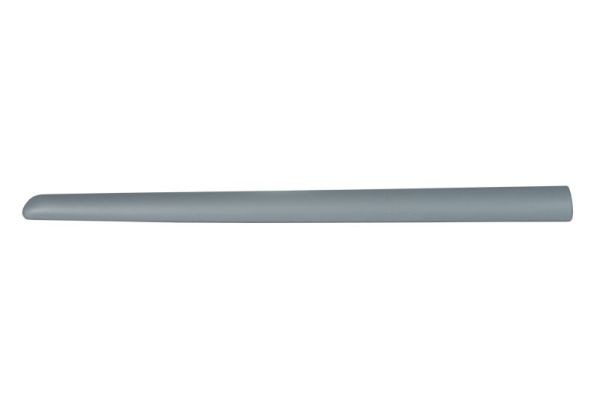 Right Front BLIC 5703-04-0519576P Trim/Protection Strip, wing for CITROËN